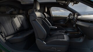 2025 Ford Mustang Mach-E® Internal Image 1